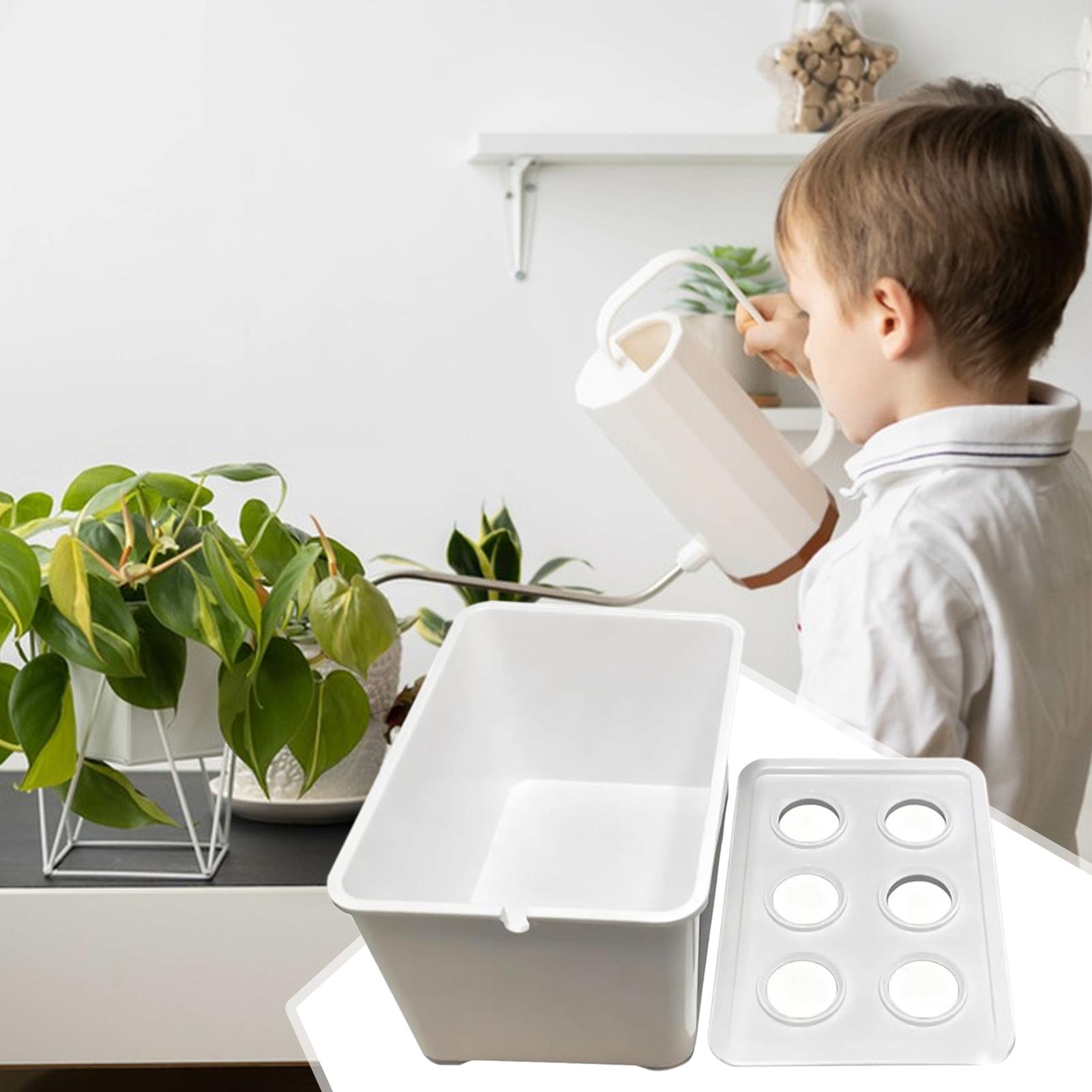 Hydroponic Planting Kit Beginn - Hydroponic Kit review and price