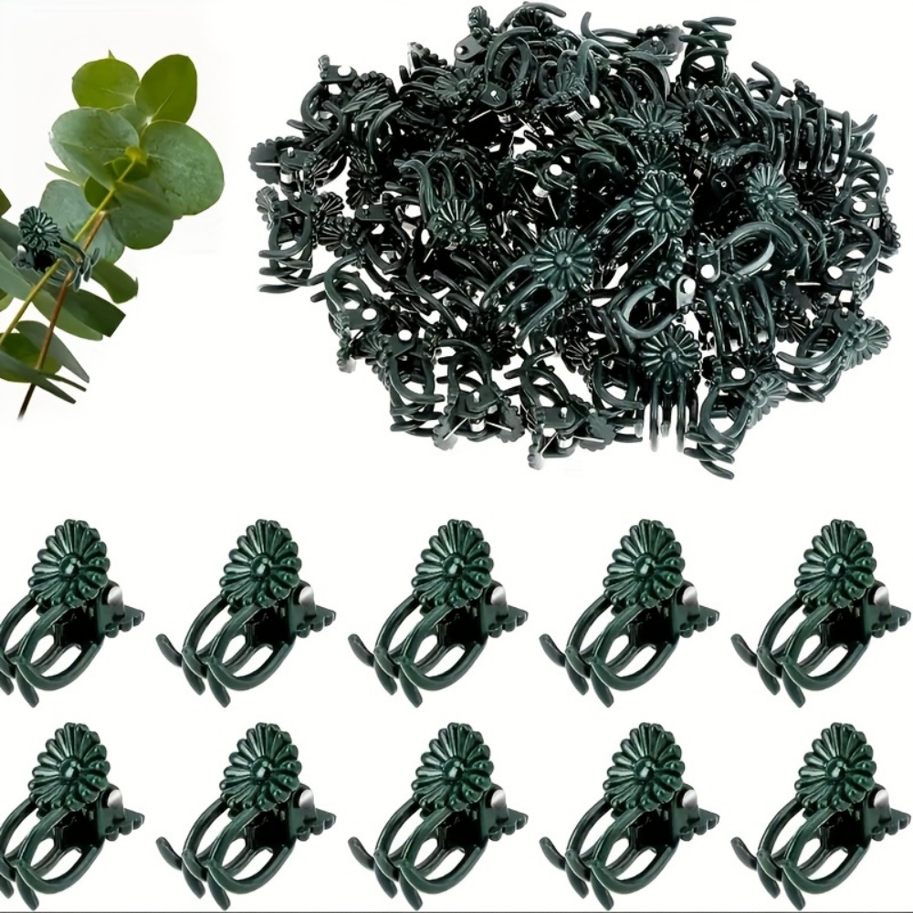 100 Pieces of Orchid and Vine  - Indoor Herb Garden review and price