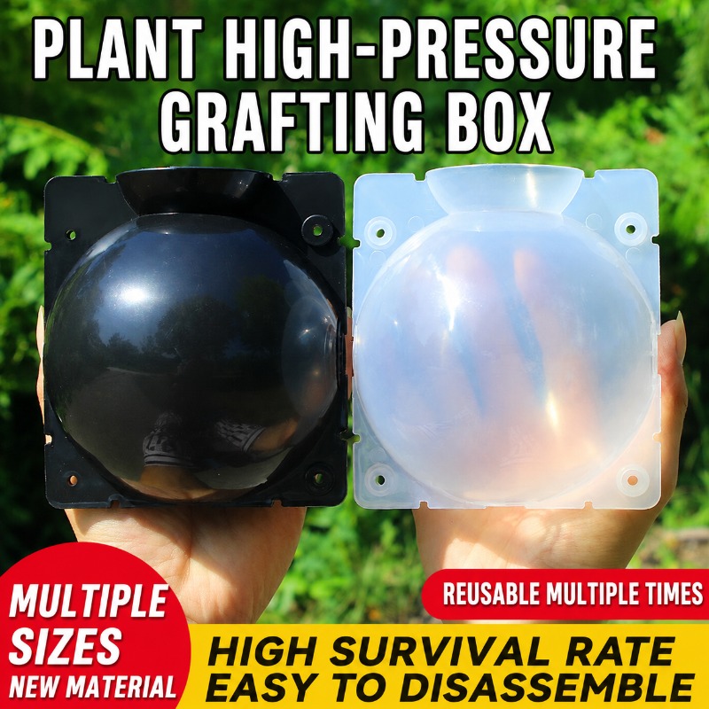 10pcs Plant Propagation Kit: H - Indoor Herb Garden review and price