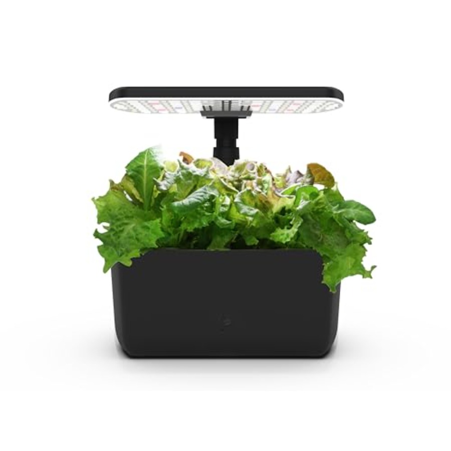 Indoor hydroponic garden for y - Indoor Herb Garden review and price