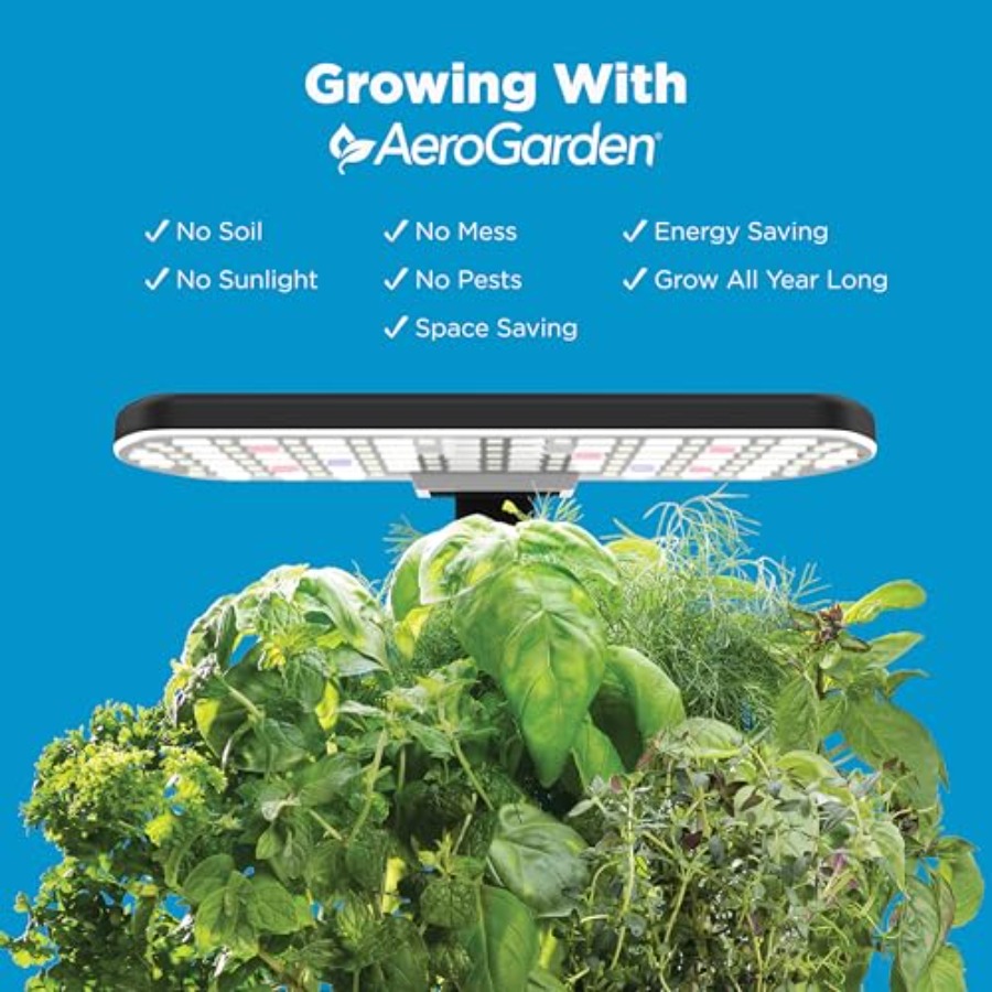 Indoor hydroponic garden for y - Indoor Herb Garden review and price