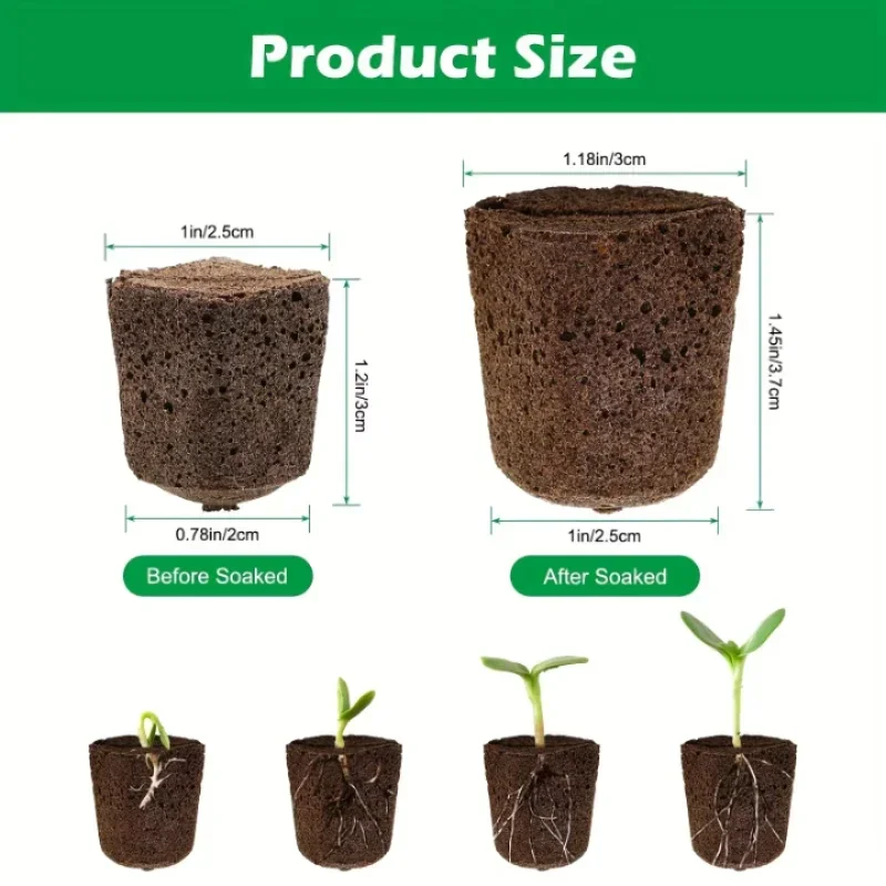 Seedling Starter Sponge Kit fo - Hydroponic Kit review and price