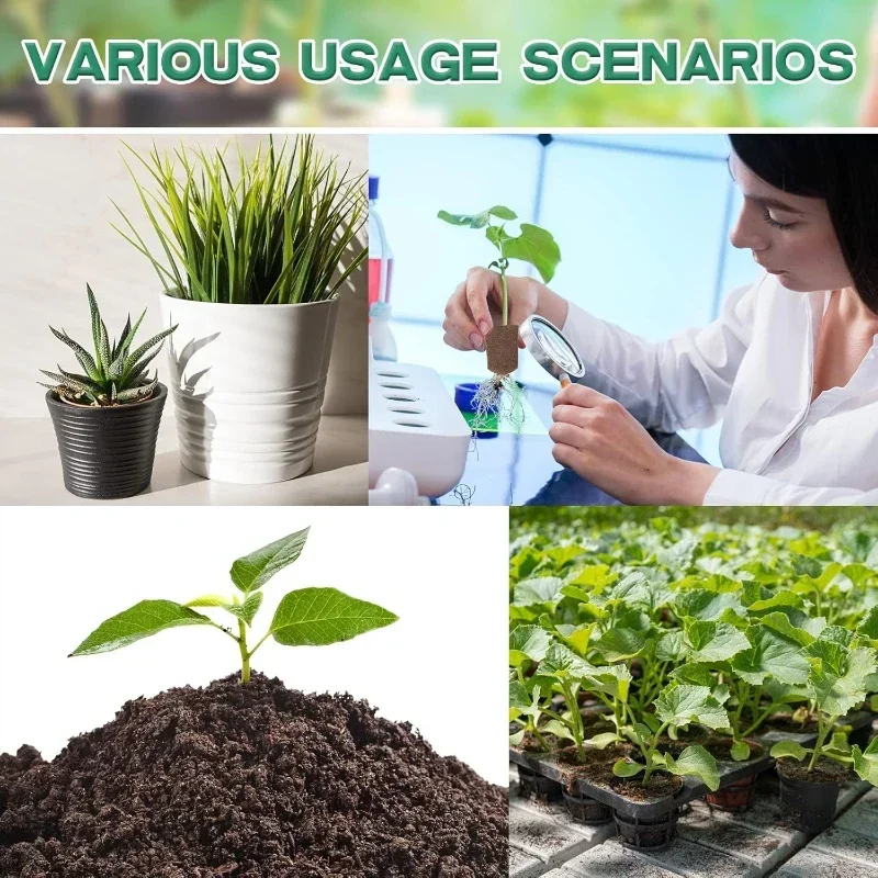 Seedling Starter Sponge Kit fo - Hydroponic Kit review and price