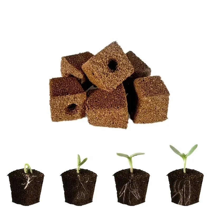 Seedling Starter Sponge Kit fo - Hydroponic Kit review and price