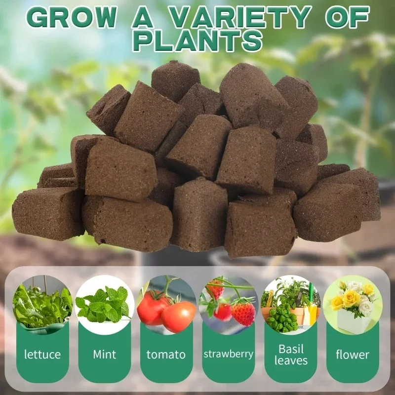 Seedling Starter Sponge Kit fo - Hydroponic Kit review and price