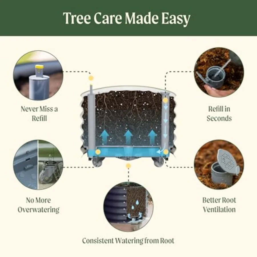Rolling Citrus Tree Planter Ge - Self Watering Planter review and price