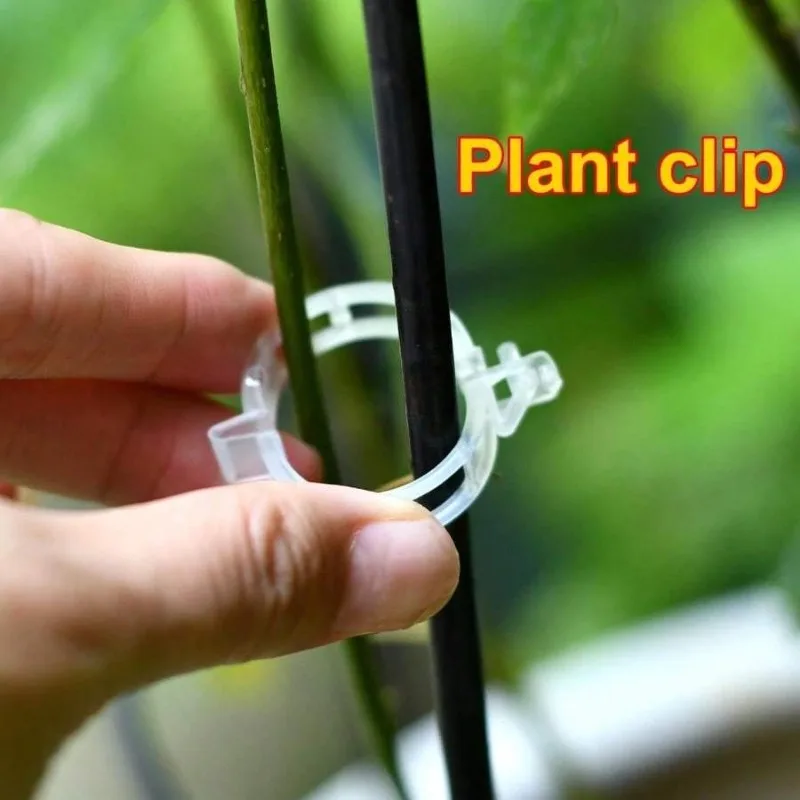 200pcs/bag Plant Clips-Tomato  - Grow Bag review and price