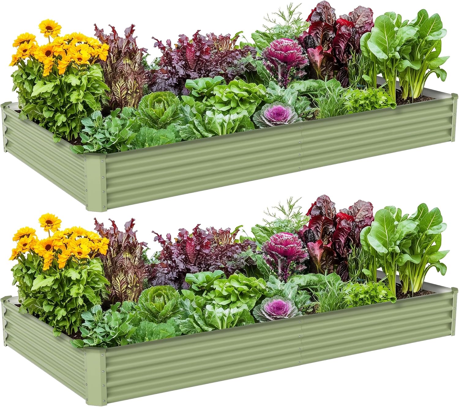 Outdoor Vegetable Gardening Me - Raised Garden Bed review and price