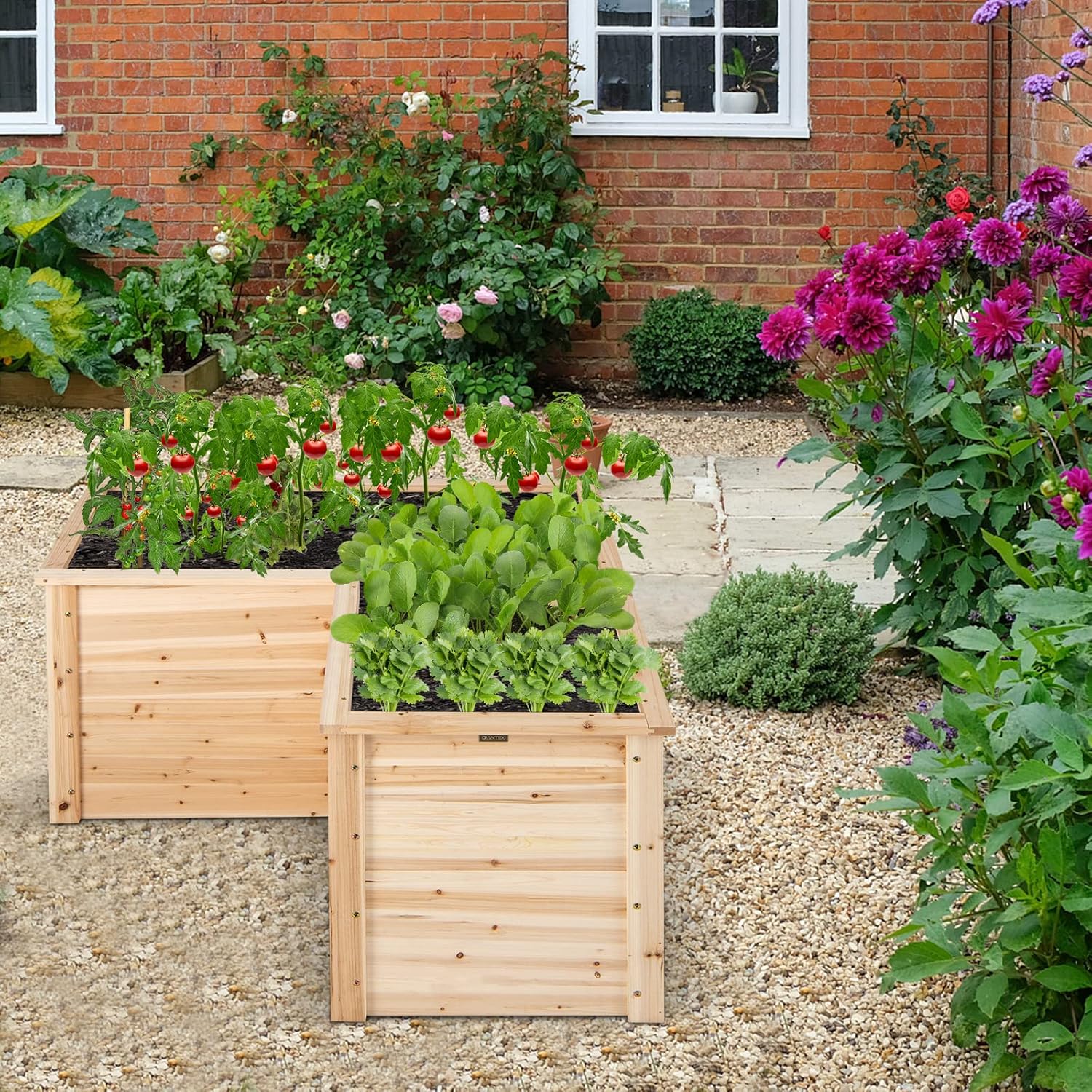 Outdoor Solid Wood Raised Gard - Raised Garden Bed review and price