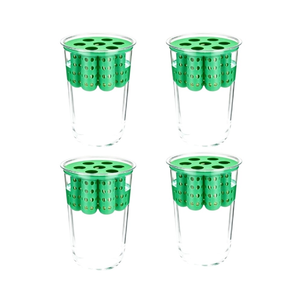 4pcs Green Onion Regrower Spro - Hydroponic Kit review and price
