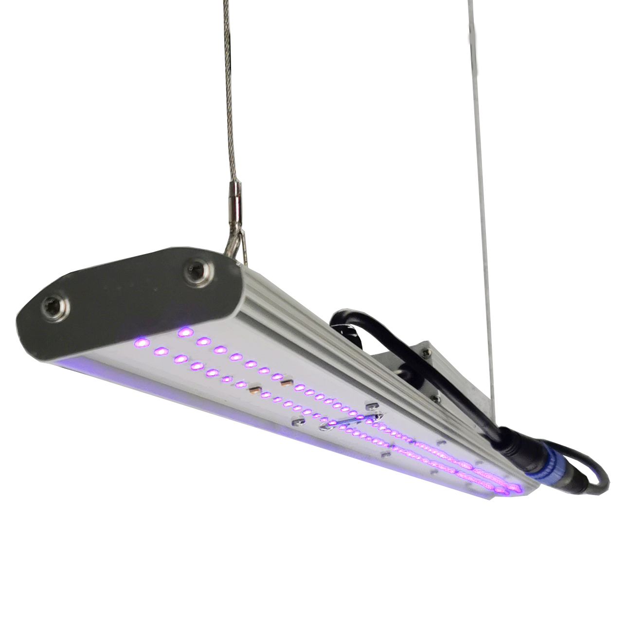 DANSE LED Manual Dimmer LED Gr - Grow Light Led review and price