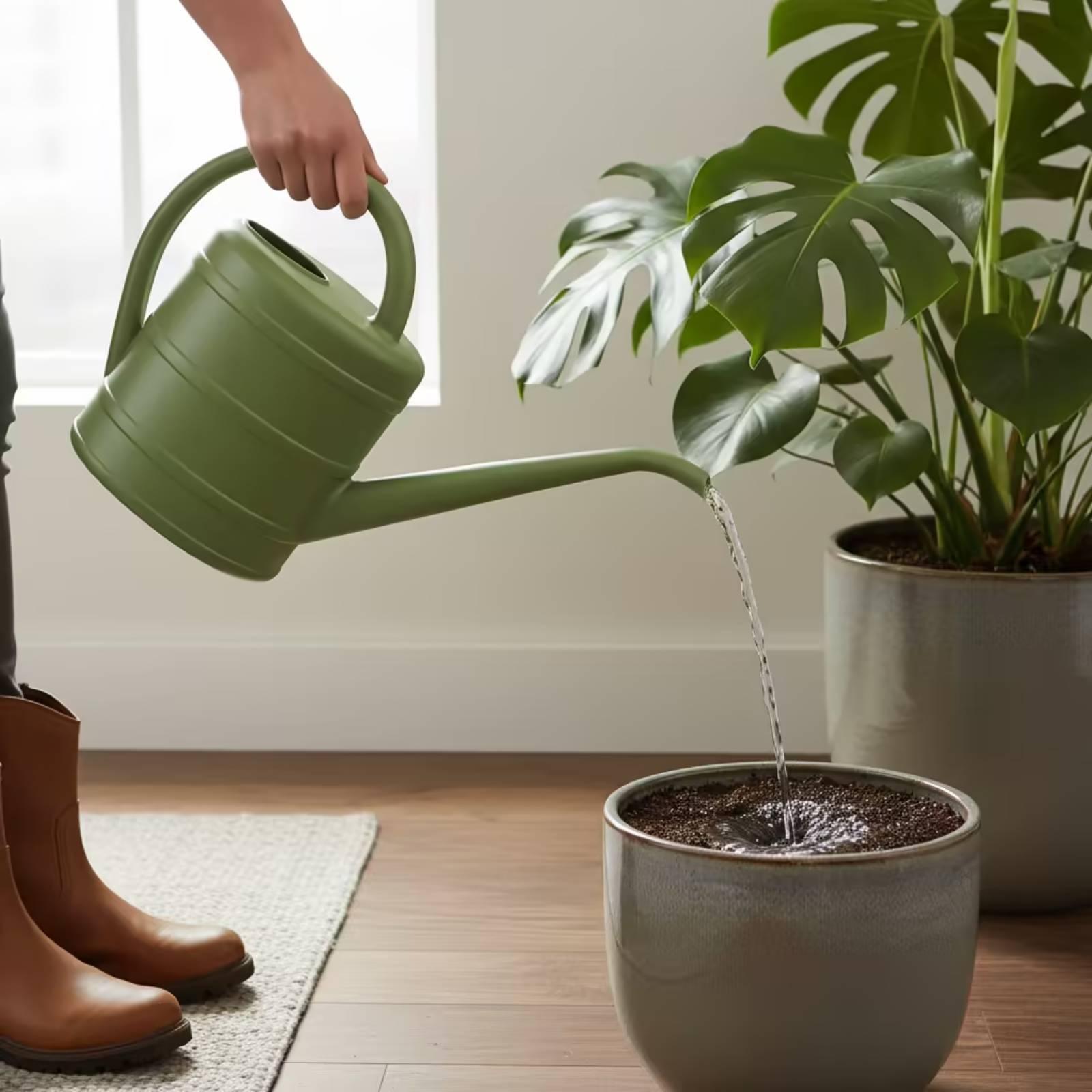 Watering Can with Long Spout E - Watering Can review and price