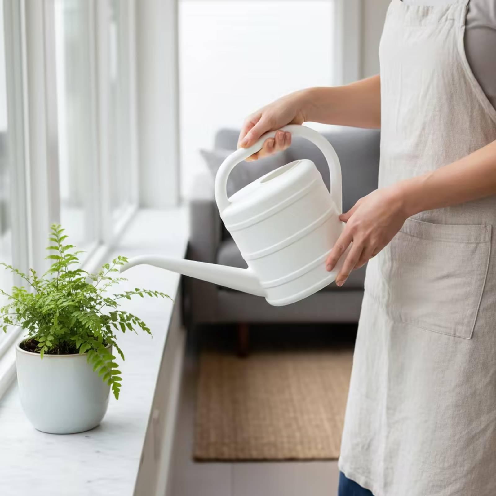 Watering Can with Long Spout E - Watering Can review and price