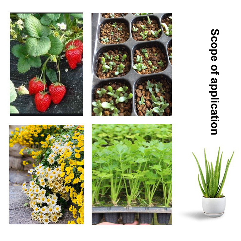 Hot 10Pcs Seedling Trays Plast - Seed Starter Tray review and price