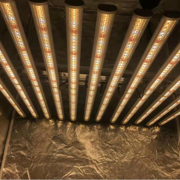 LUX China Factory Led Plant Li - Grow Light Led review and price