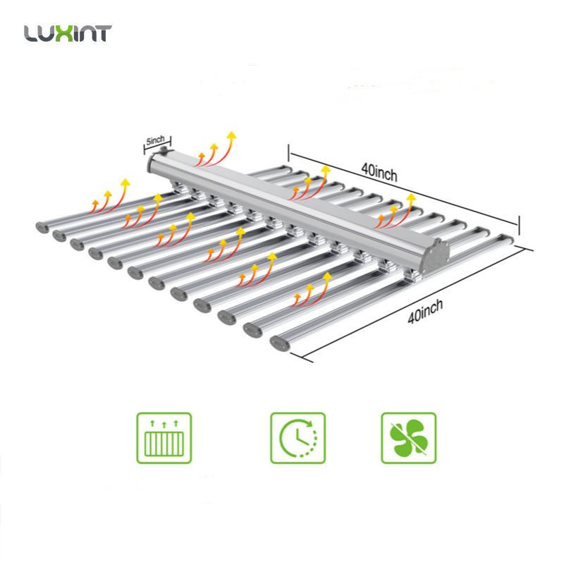 LUX China Factory Led Plant Li - Grow Light Led review and price