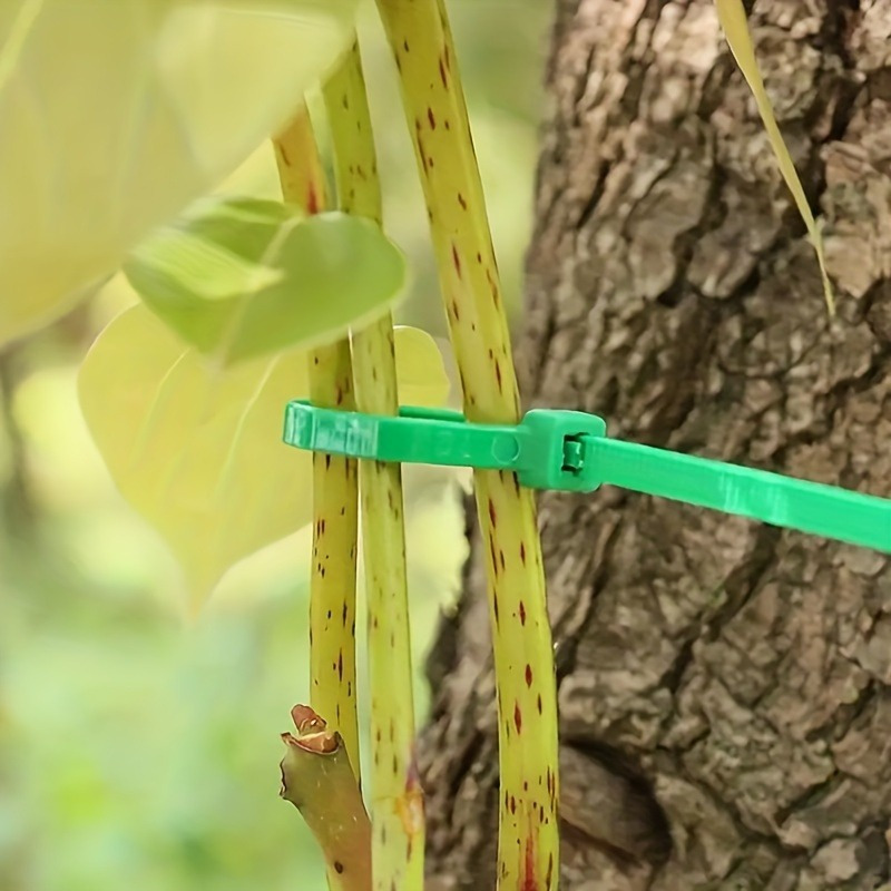 100pcs Garden Cable Tie, Plant - Plant Pot review and price