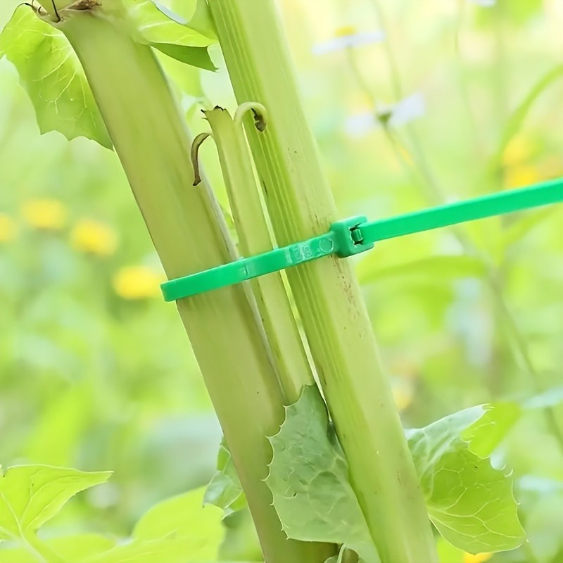 100pcs Garden Cable Tie, Plant - Plant Pot review and price