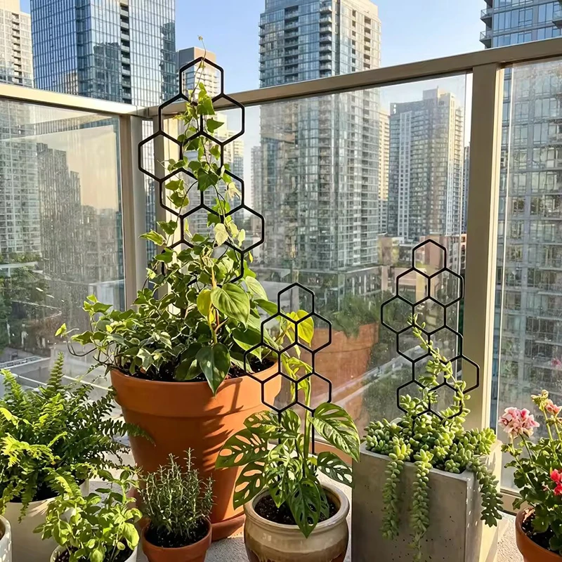 2/4pcs Honeycomb Design Plant  - Indoor Herb Garden review and price
