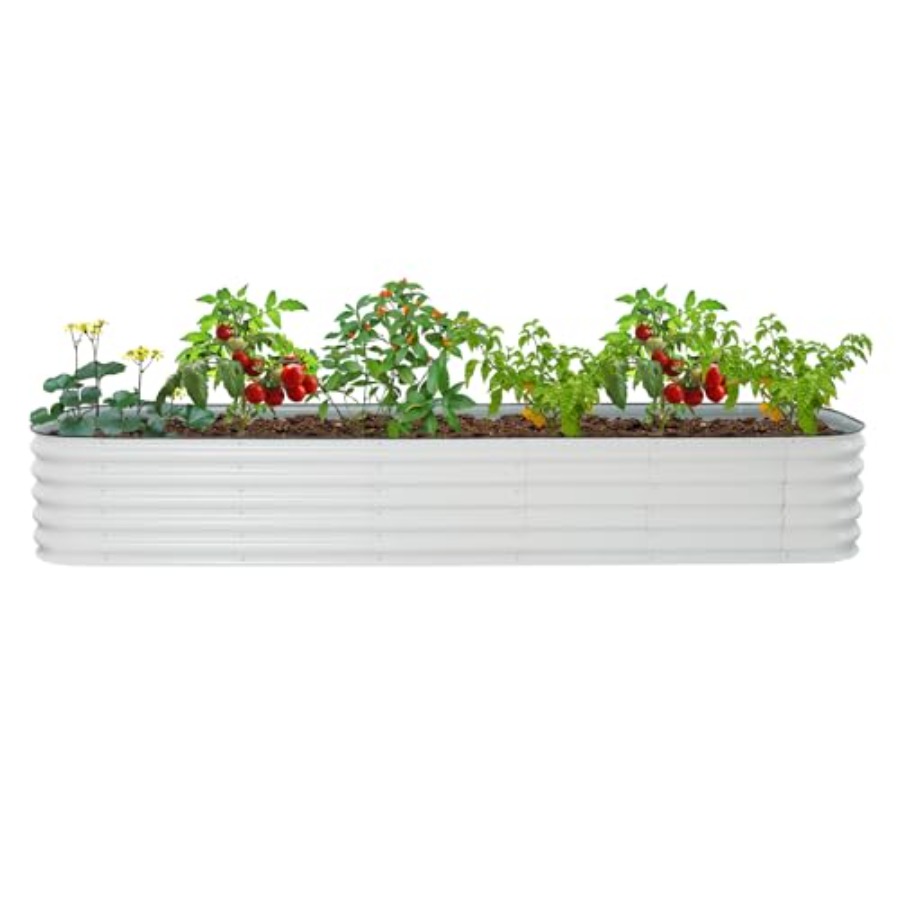 Raised garden bed kit for vege - Raised Garden Bed review and price