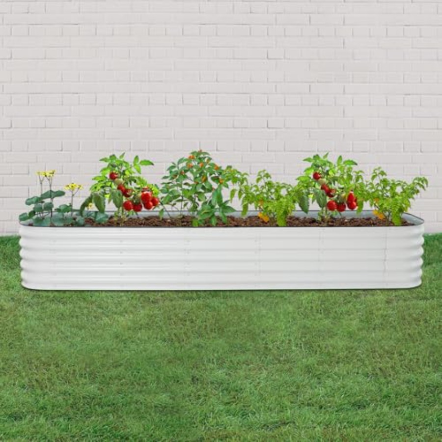 Raised garden bed kit for vege - Raised Garden Bed review and price