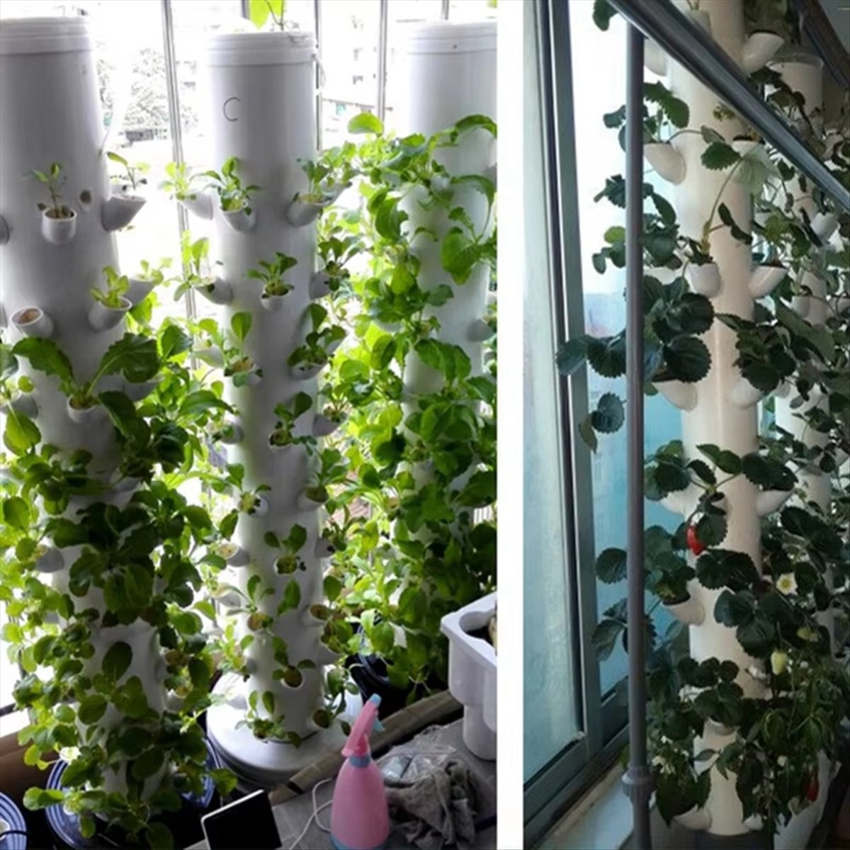Hydroponic Vertical Tower Cont - Plant Pot review and price
