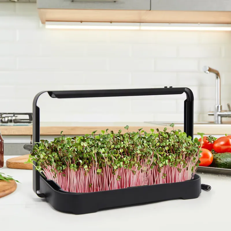 Hydroponic Tray Indoor Microgr - Hydroponic Kit review and price
