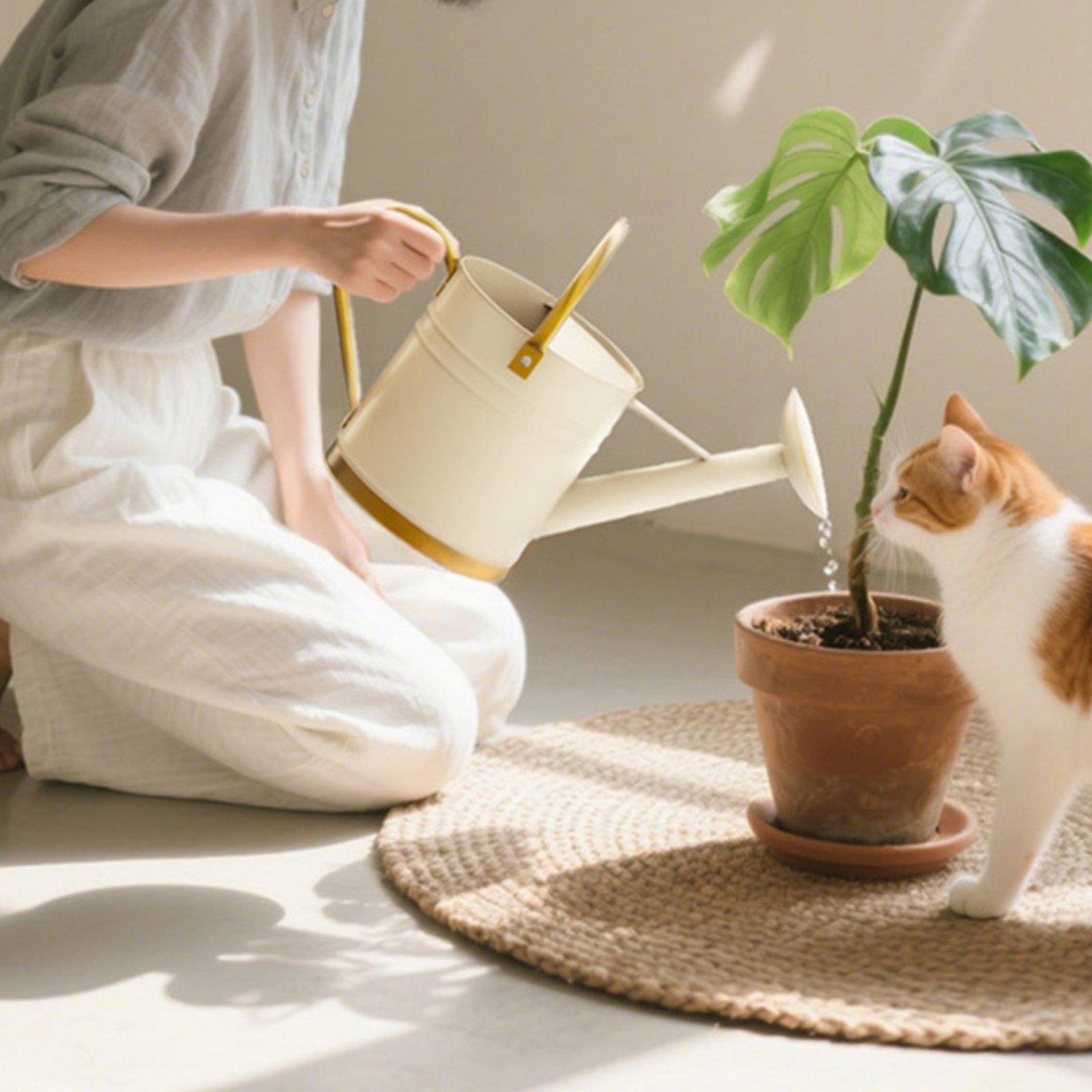 Long Spout Watering Can Leak-P - Watering Can review and price