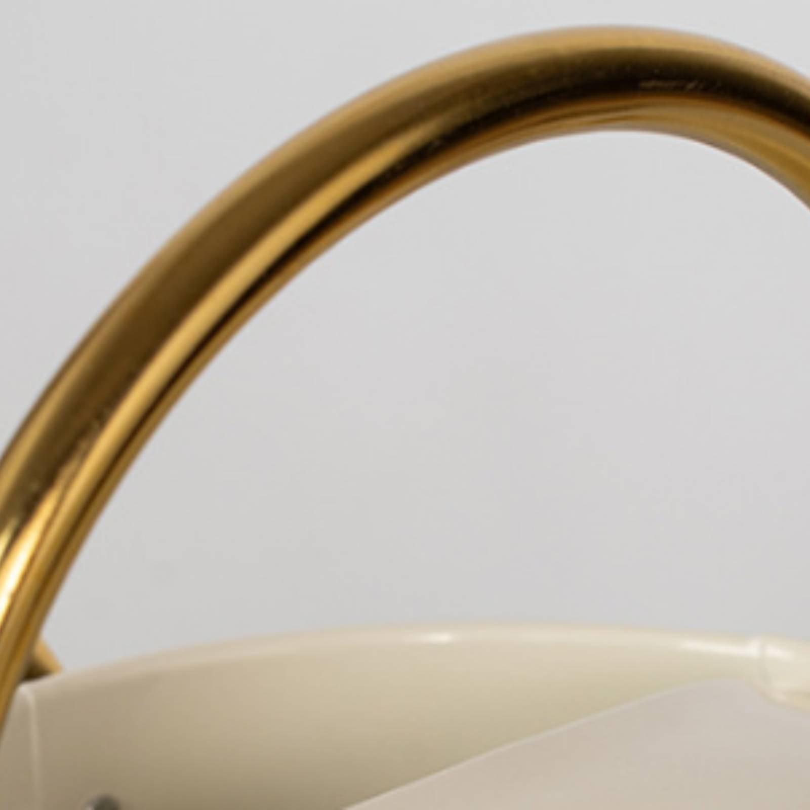 Long Spout Watering Can Leak-P - Watering Can review and price