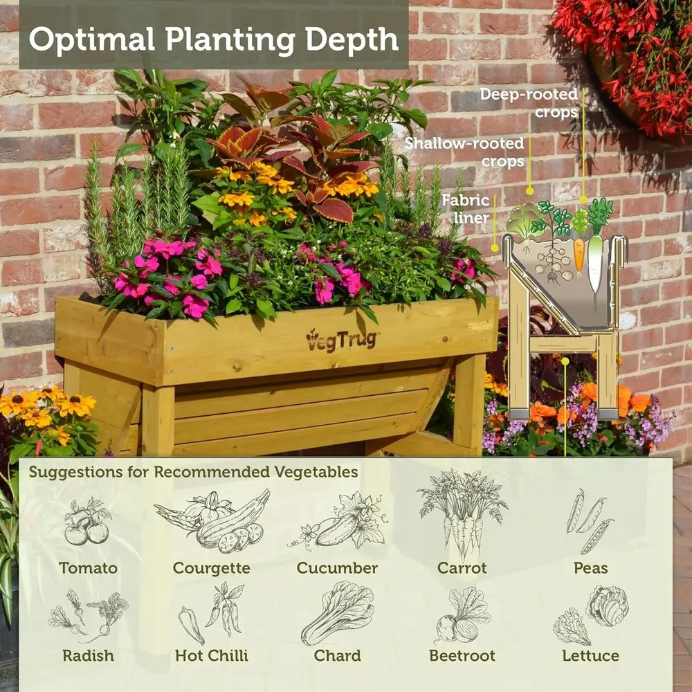Natural Small 1m Wall-Mounted  - Vertical Planter review and price