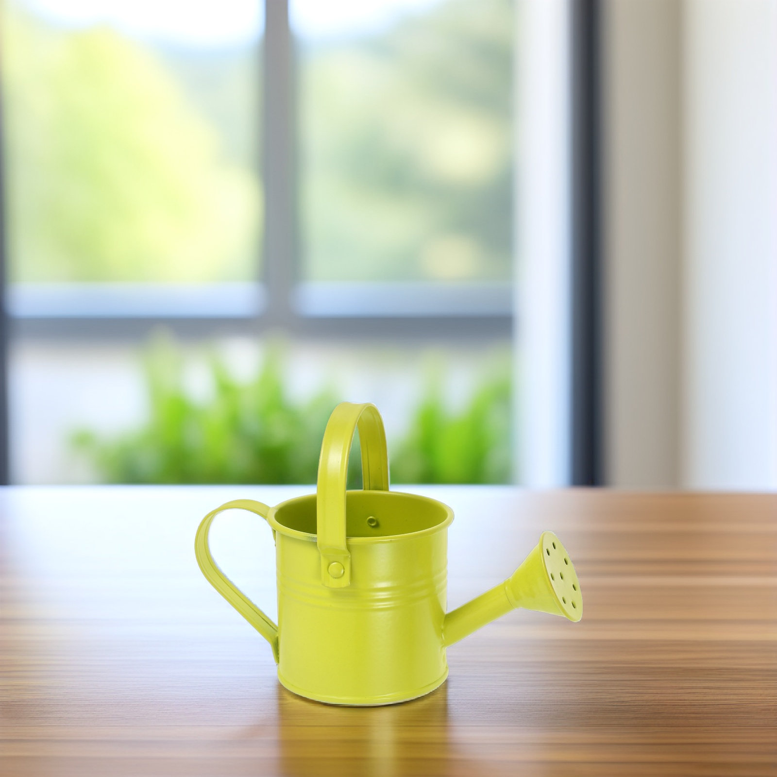Small Galvanized Tin Watering  - Watering Can review and price