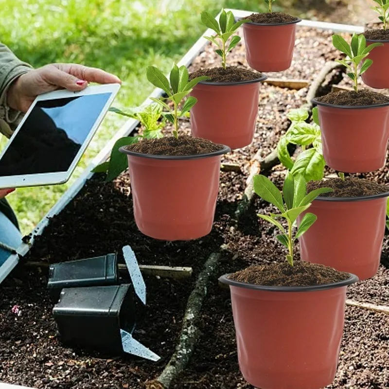 100/20x Seeding Nursery Pot Bl - Seed Starter Tray review and price