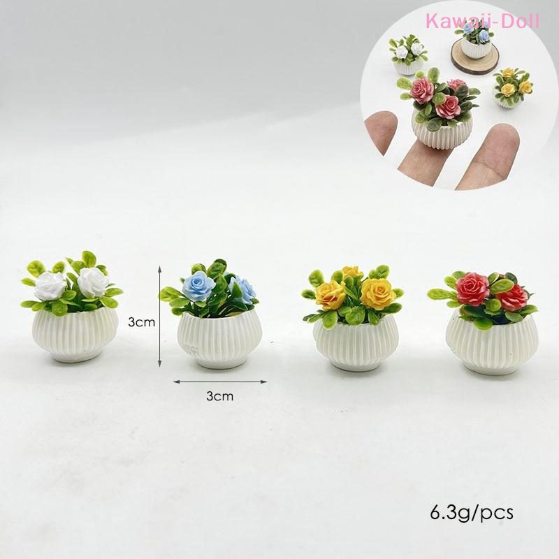 1Pcs Miniature Mini Rose Plant - Plant Pot review and price