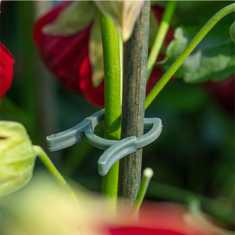 50/100pcs Garden Plant Clips V - Vertical Planter review and price