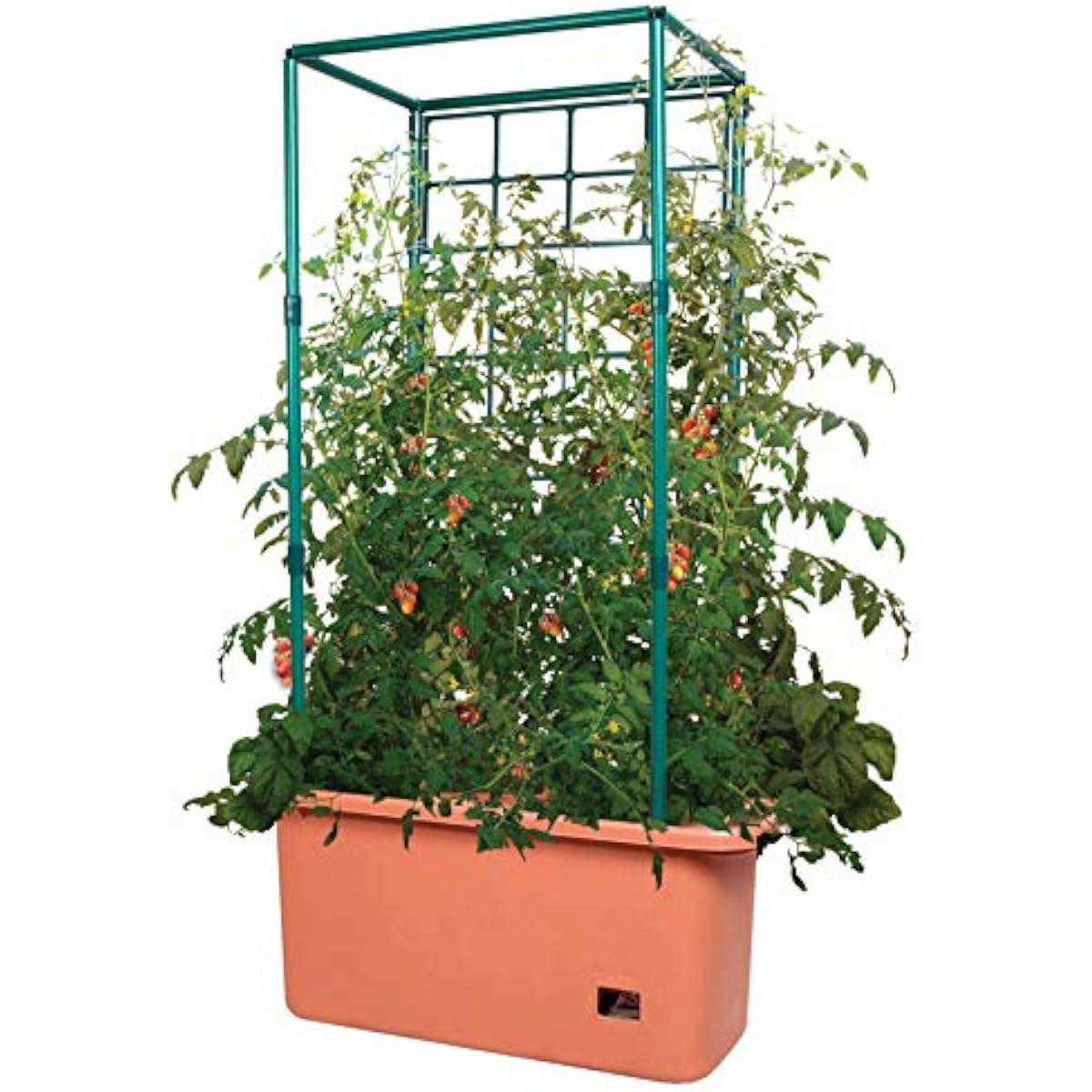 GCTR Tomato Grow System 10 Gal - Vertical Planter review and price