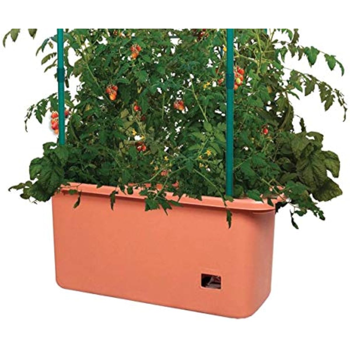 GCTR Tomato Grow System 10 Gal - Vertical Planter review and price