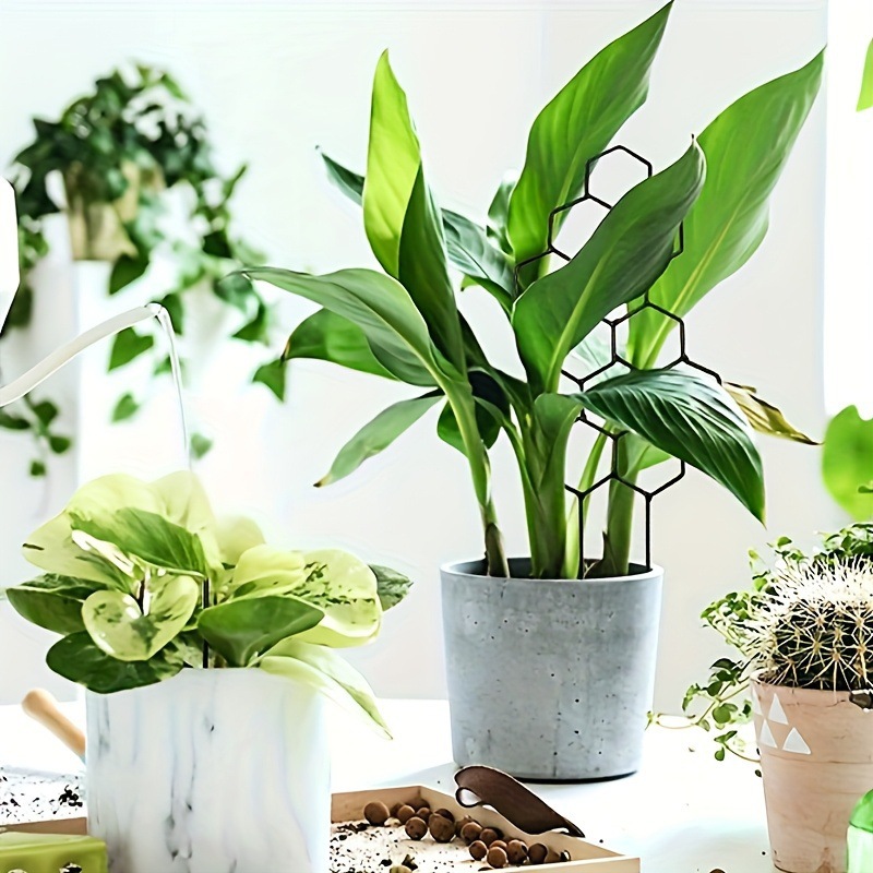 1PC Honeycomb Design Plant Tre - Indoor Herb Garden review and price