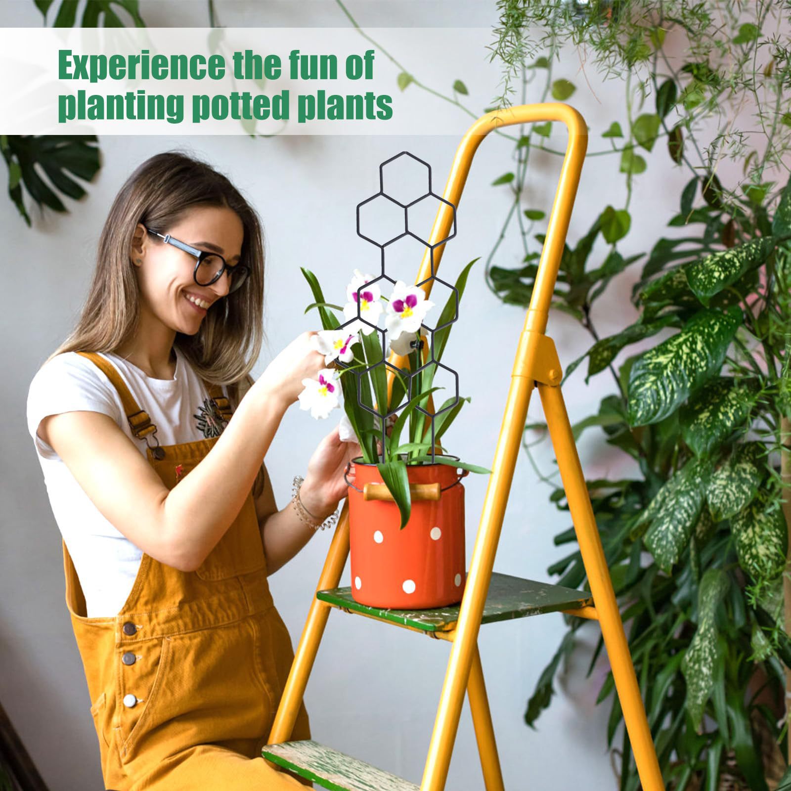 1PC Honeycomb Design Plant Tre - Indoor Herb Garden review and price