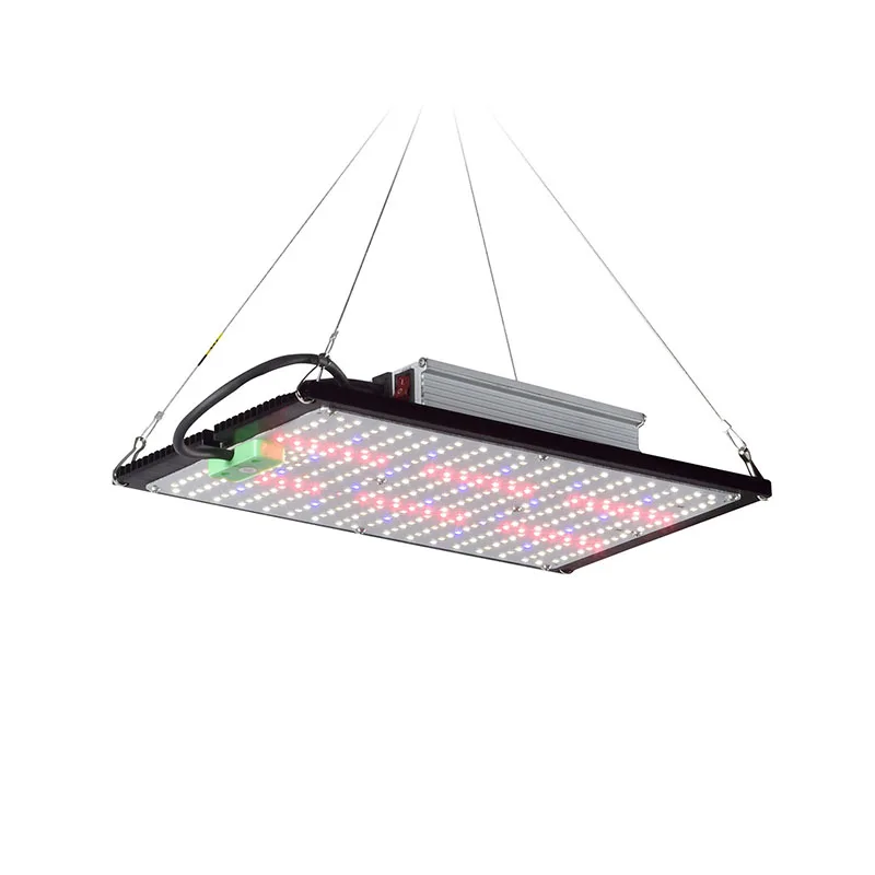 LED Quantum‑Board Grow Light F - Grow Light Led review and price
