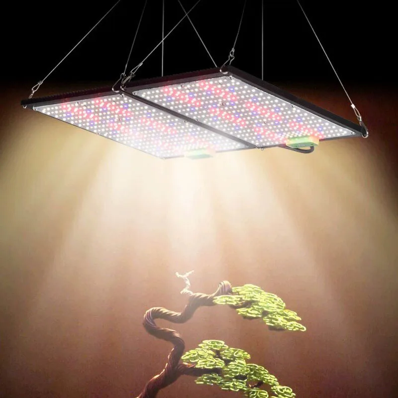 LED Quantum‑Board Grow Light F - Grow Light Led review and price