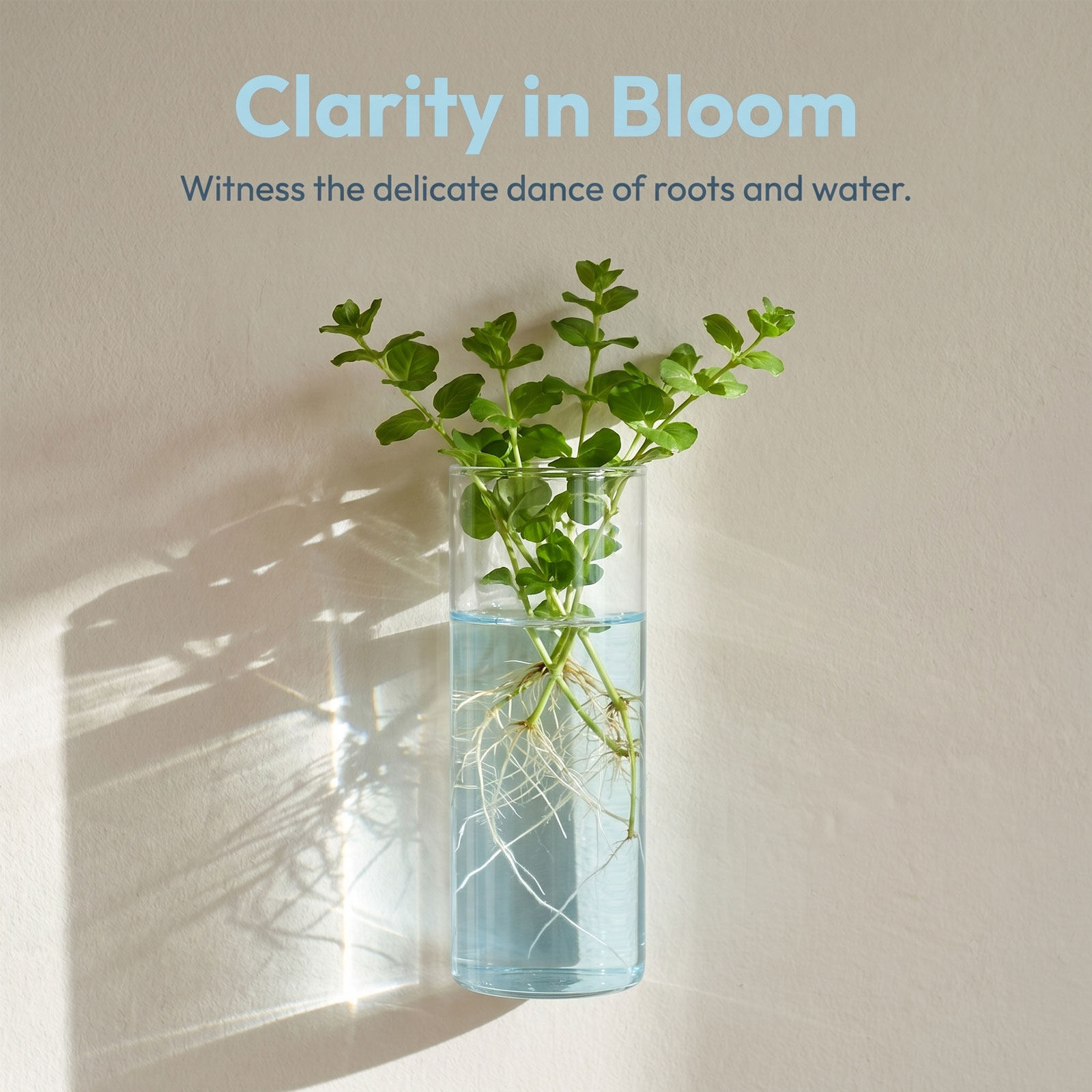 5Pcs Wall Planter Cylinder Gla - Vertical Planter review and price