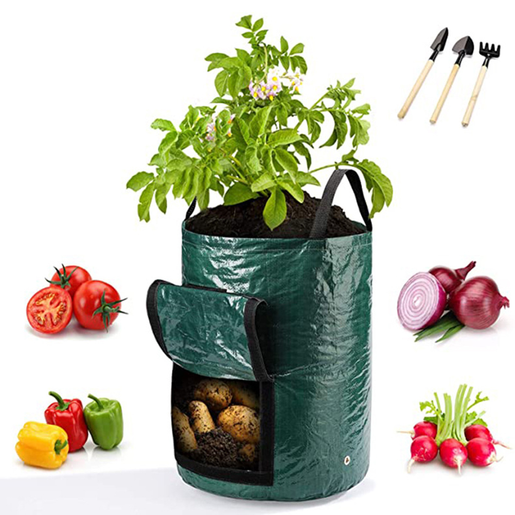 1pc 10-Gallon Grow Bags For Ve - Grow Bag review and price