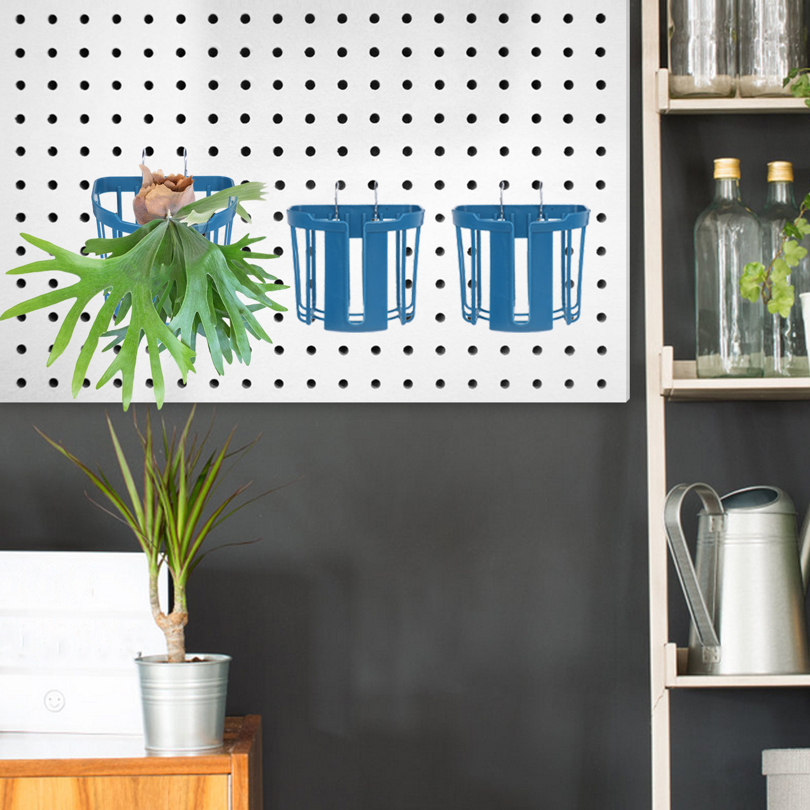 4Pcs Wall Mounted Fern Planter - Vertical Planter review and price